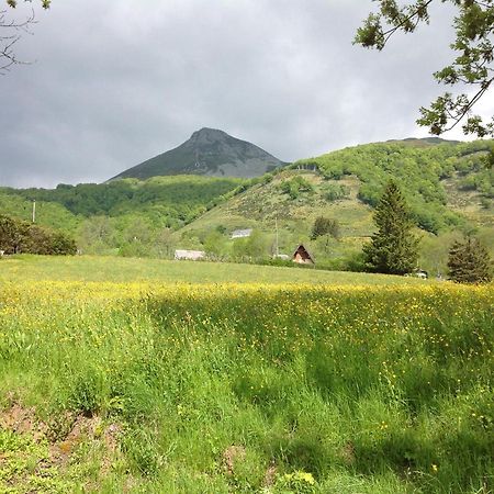 Chalet Avec Vue Panoramique Sur Le Plomb Du Cantal Villa Saint-Jacques-des-Blats Kültér fotó