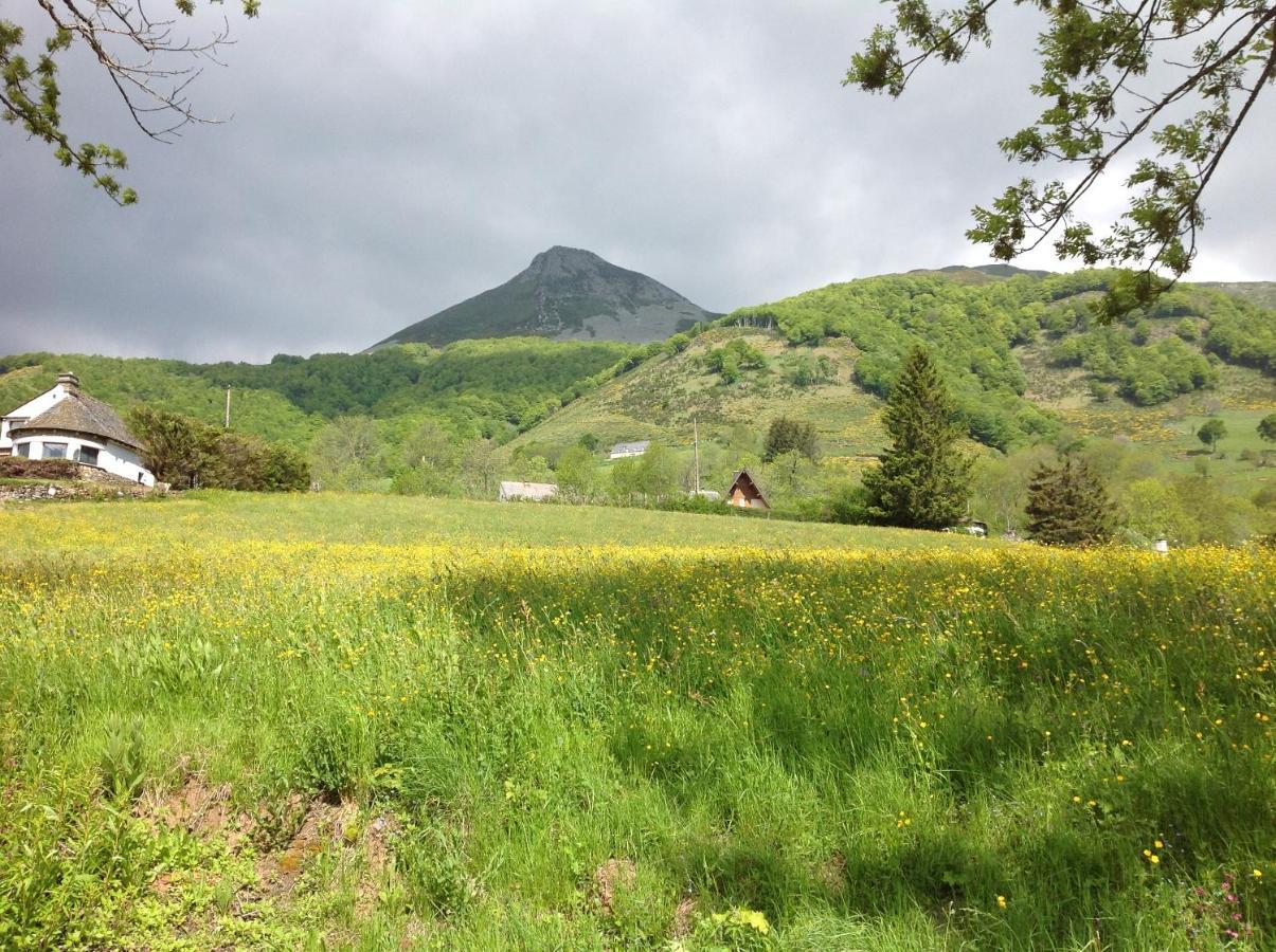 Chalet Avec Vue Panoramique Sur Le Plomb Du Cantal Villa Saint-Jacques-des-Blats Kültér fotó