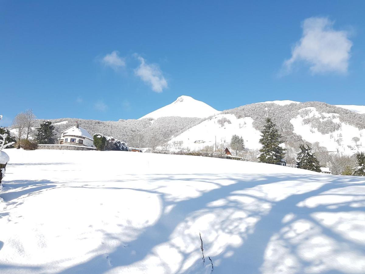 Chalet Avec Vue Panoramique Sur Le Plomb Du Cantal Villa Saint-Jacques-des-Blats Kültér fotó