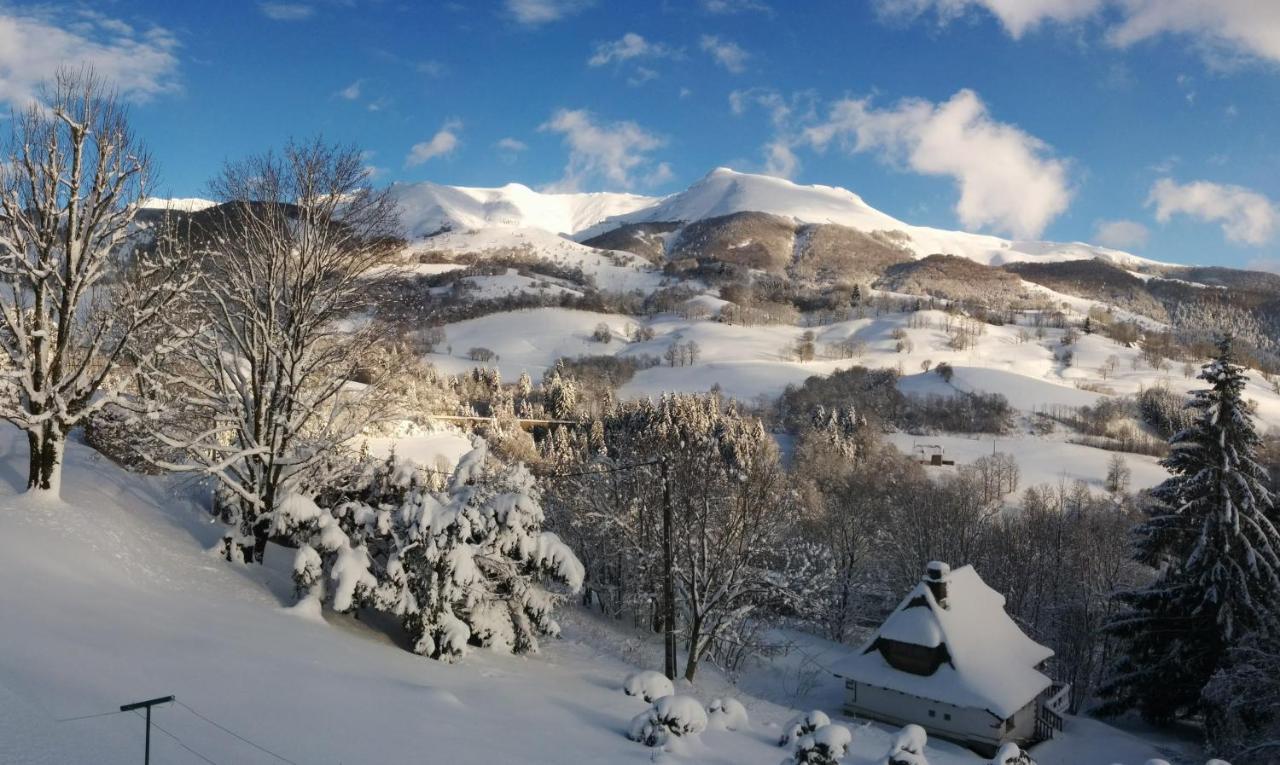 Chalet Avec Vue Panoramique Sur Le Plomb Du Cantal Villa Saint-Jacques-des-Blats Kültér fotó