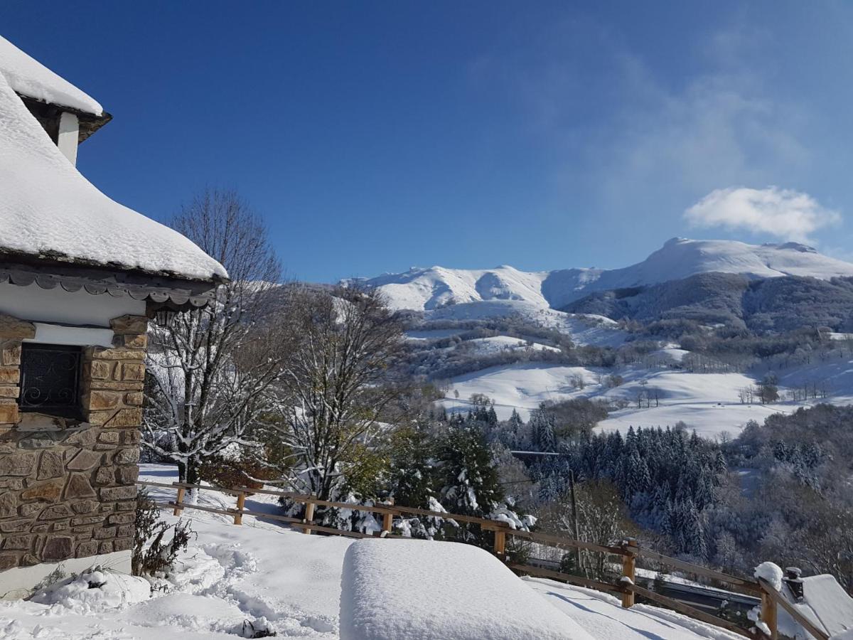 Chalet Avec Vue Panoramique Sur Le Plomb Du Cantal Villa Saint-Jacques-des-Blats Kültér fotó