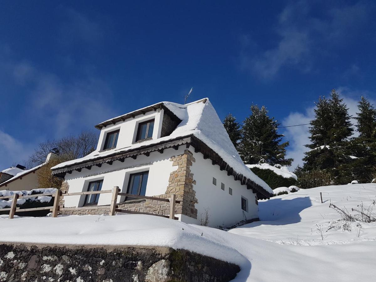 Chalet Avec Vue Panoramique Sur Le Plomb Du Cantal Villa Saint-Jacques-des-Blats Kültér fotó