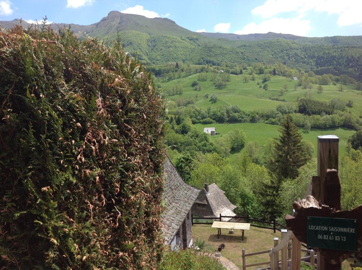 Chalet Avec Vue Panoramique Sur Le Plomb Du Cantal Villa Saint-Jacques-des-Blats Kültér fotó