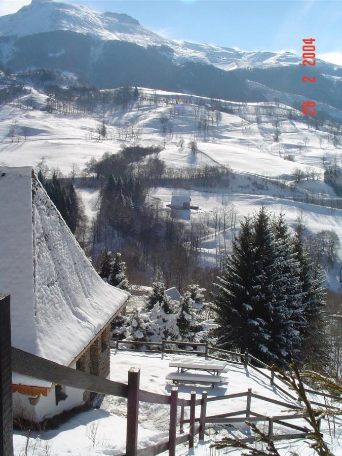 Chalet Avec Vue Panoramique Sur Le Plomb Du Cantal Villa Saint-Jacques-des-Blats Kültér fotó