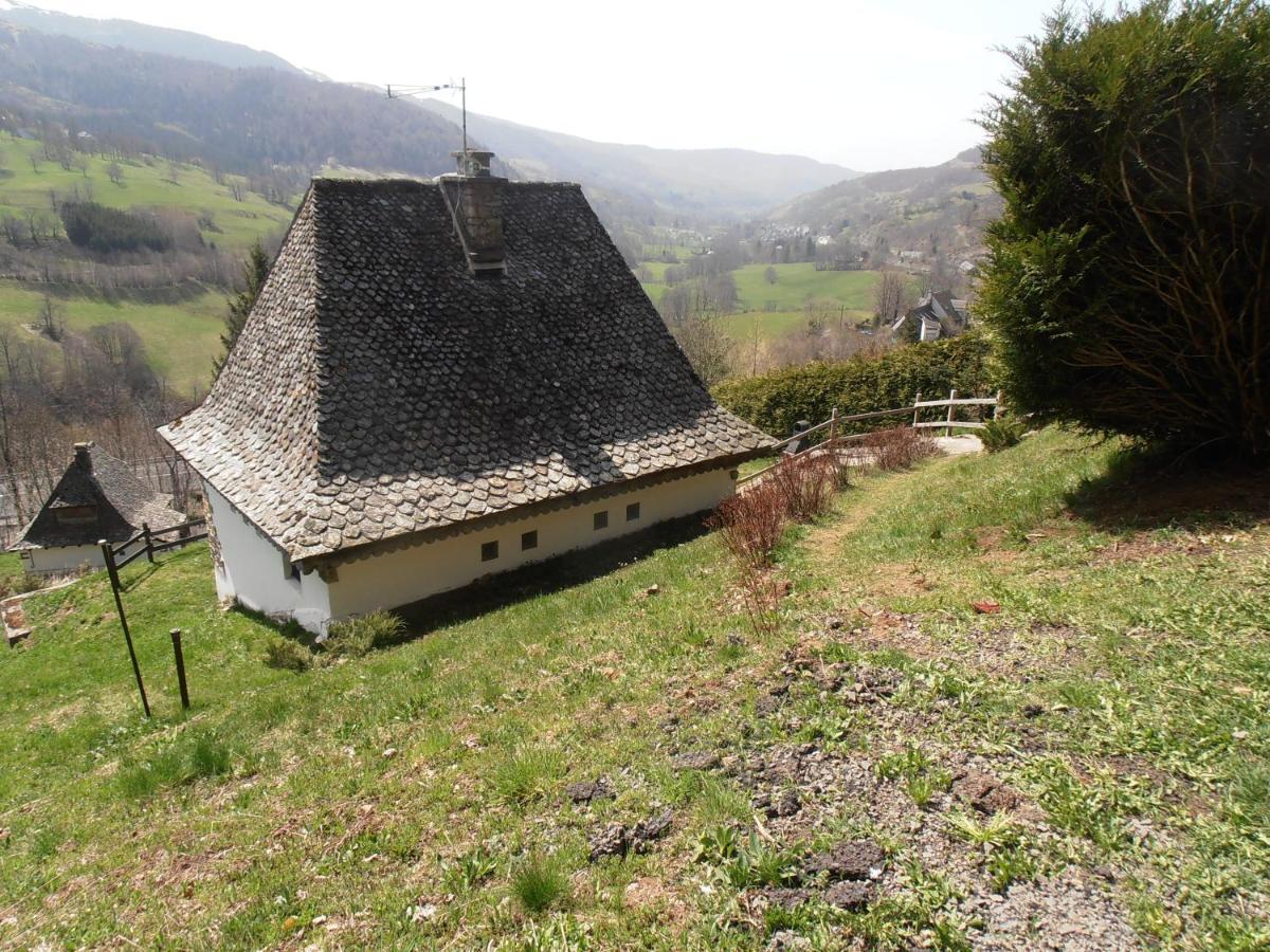 Chalet Avec Vue Panoramique Sur Le Plomb Du Cantal Villa Saint-Jacques-des-Blats Kültér fotó