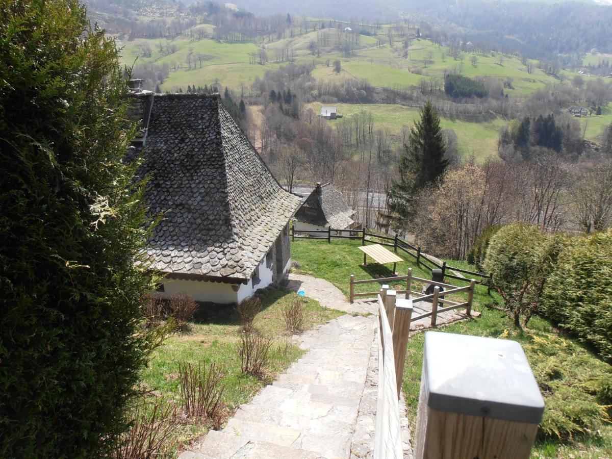 Chalet Avec Vue Panoramique Sur Le Plomb Du Cantal Villa Saint-Jacques-des-Blats Kültér fotó