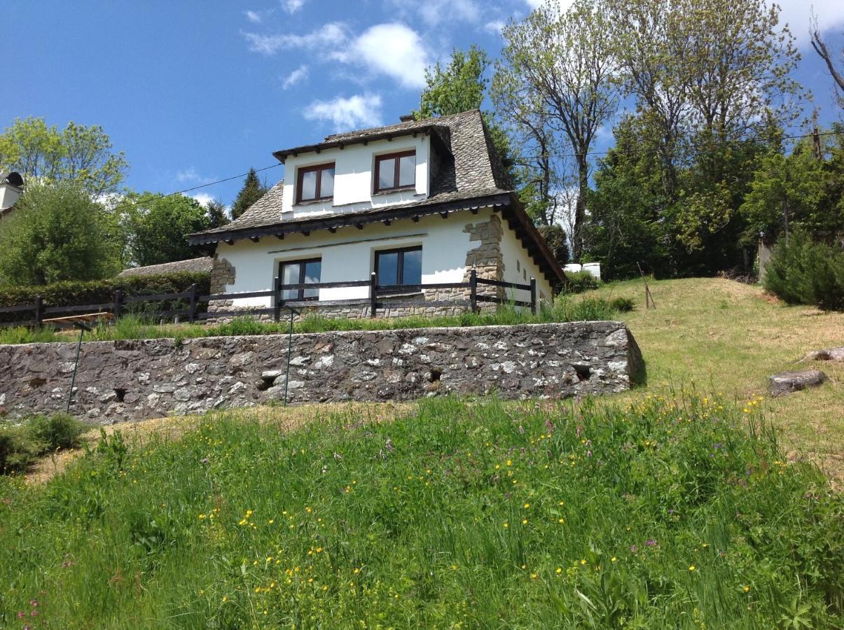 Chalet Avec Vue Panoramique Sur Le Plomb Du Cantal Villa Saint-Jacques-des-Blats Kültér fotó