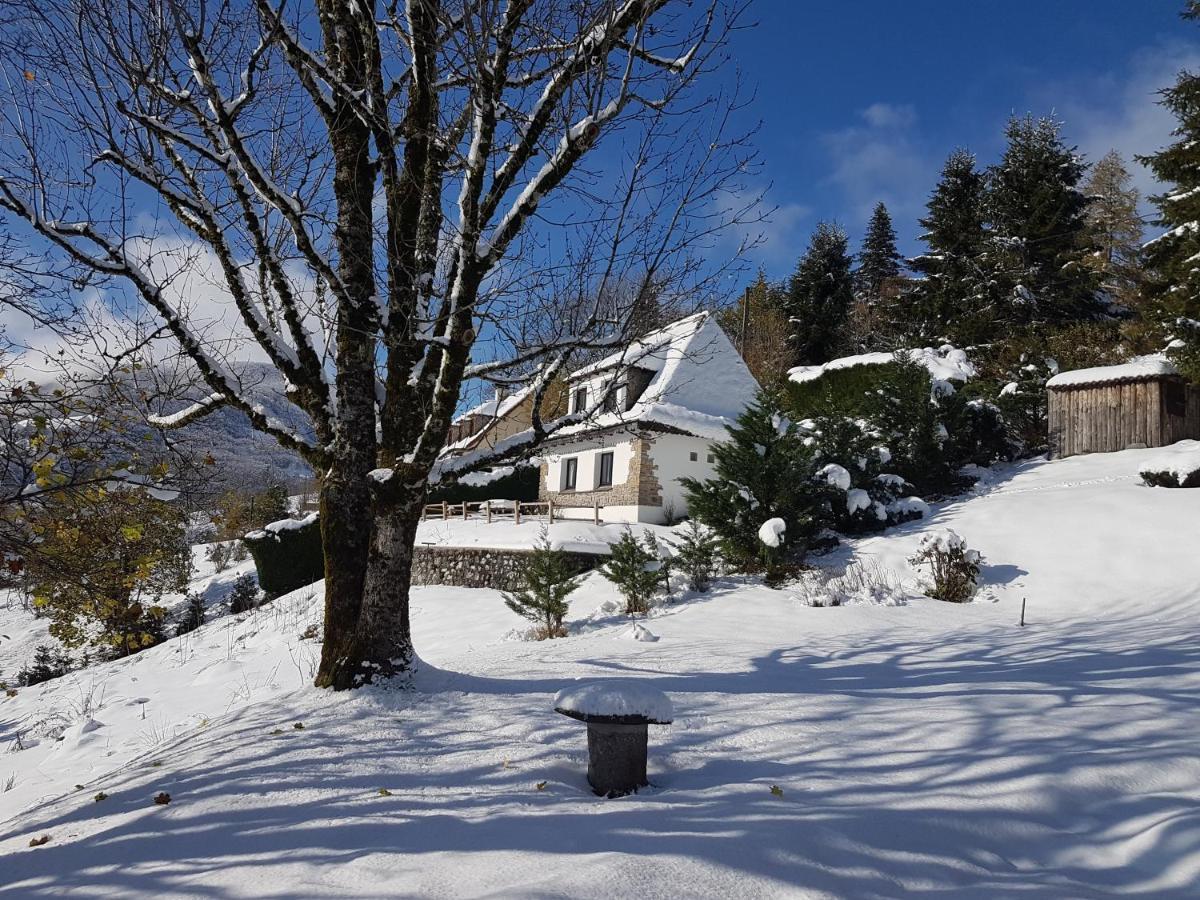 Chalet Avec Vue Panoramique Sur Le Plomb Du Cantal Villa Saint-Jacques-des-Blats Kültér fotó