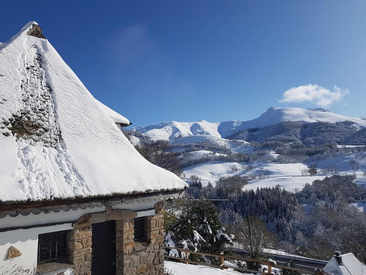 Chalet Avec Vue Panoramique Sur Le Plomb Du Cantal Villa Saint-Jacques-des-Blats Kültér fotó