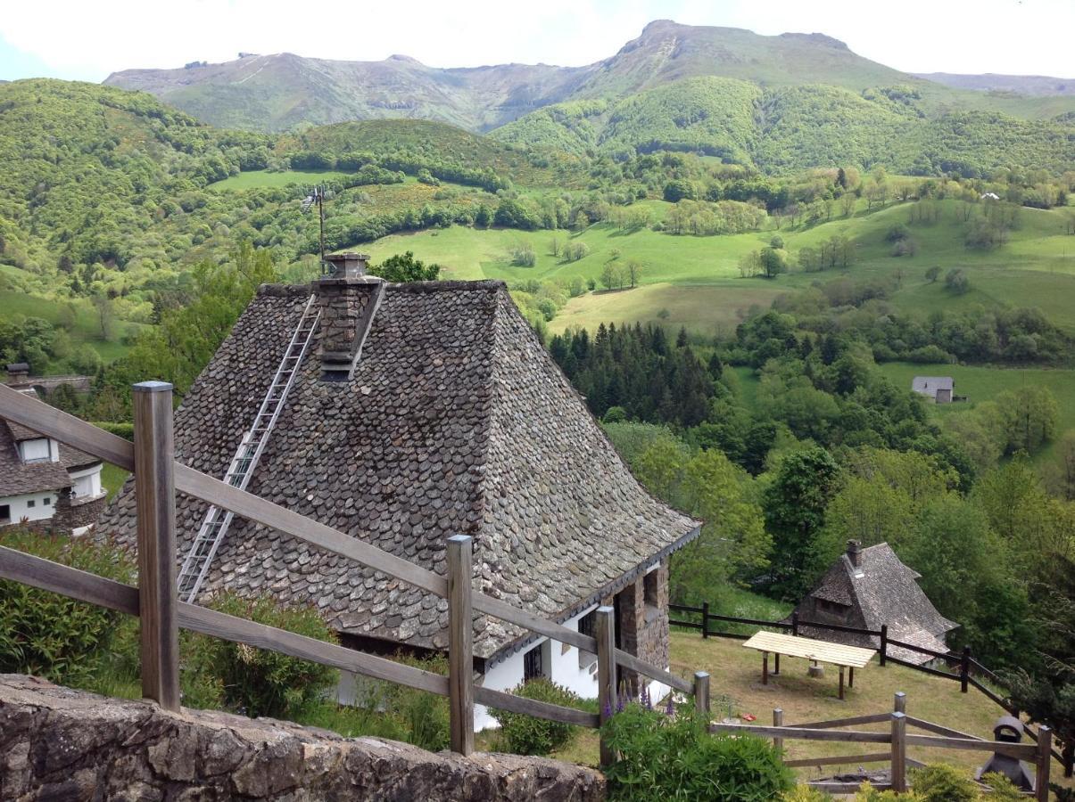 Chalet Avec Vue Panoramique Sur Le Plomb Du Cantal Villa Saint-Jacques-des-Blats Kültér fotó