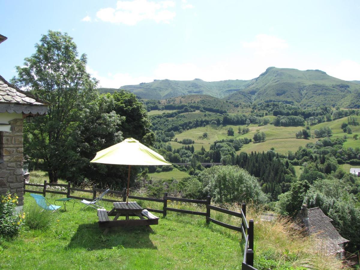 Chalet Avec Vue Panoramique Sur Le Plomb Du Cantal Villa Saint-Jacques-des-Blats Kültér fotó